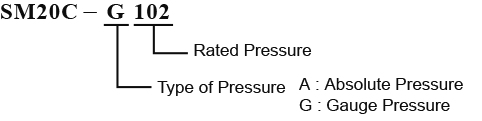 Semiconductor Pressure Sensor SM Series