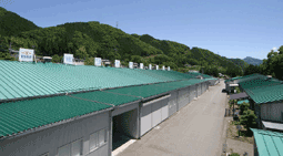 秩父工場 秩父工場