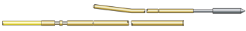 TP031